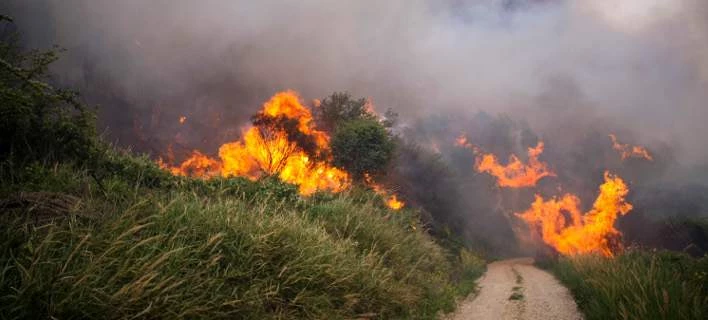 Πυρκαγιά στη Μάνη -Λόγω καιρικών συνθηκών πήρε γρήγορα διαστάσεις